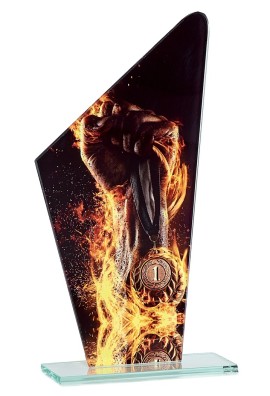 Trophée Victoire 66121