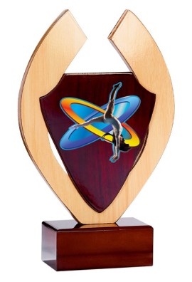 Trophée Bois Personnalisé 125-21-BJ