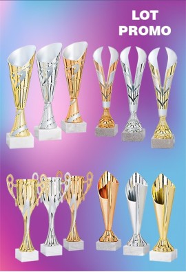 Lot de 12 Coupes : 2025-2