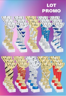 Lot de 30 Coupes : 2025-7