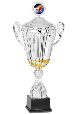 Coupe Personnalisée Métal : 6201W-C