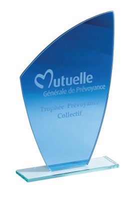 Trophée Verre Personnalisé 162-01-CLI