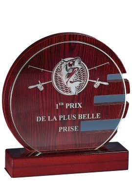 Trophée Verre & Bois Personnalisé 163-11-CLI