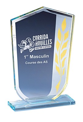 Trophée Verre Personnalisé 173-51-CLI