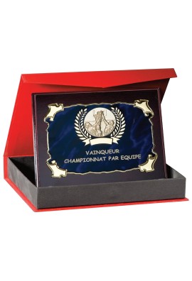 Plaque de distinction : 187-45-C