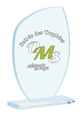 Trophée Verre Personnalisé 154-21-LO