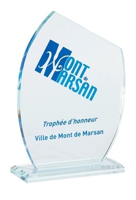 Trophée Verre Personnalisé 154-01-LO