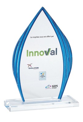 Trophée Acryglass Personnalisé 158-21-LO