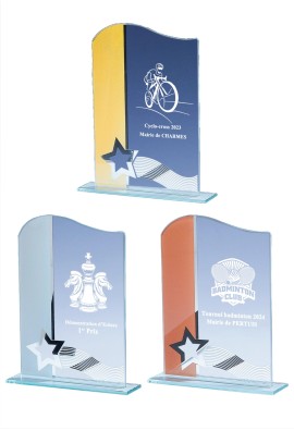 Trophée Verre Personnalisé 161-51-LO