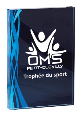 Trophée Verre Personnalisé 165-21-LO