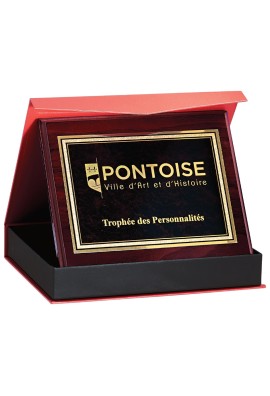 Plaque de distinction : 187-31-LO