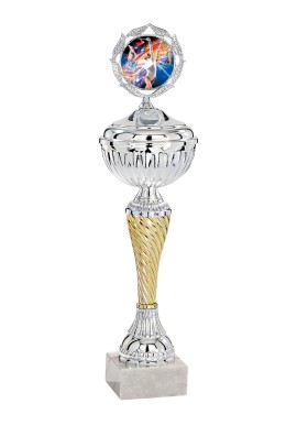 Coupe Personnalisée Économique : 1421W-C