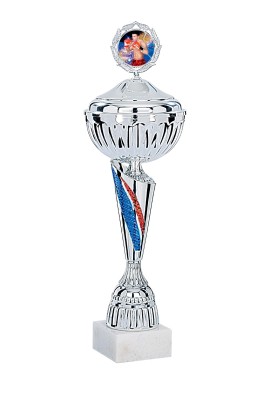 Coupe Personnalisée Métal : 3351W-C