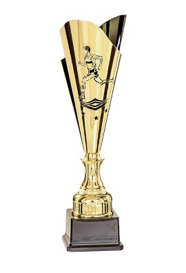 Coupe Laser Métal Course à pied  : 35504-1