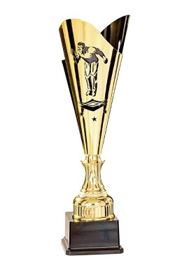 Coupe Laser Métal Pétanque  : 35512