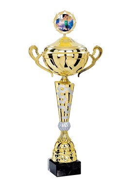 Coupe Personnalisée Métal : 4181W-C