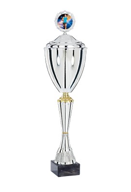 Coupe Personnalisée Métal : 4221W-C