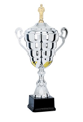 Coupe Personnalisée Métal : 5021W-D