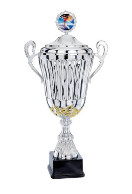 Coupe Personnalisée Métal : 5561W-C