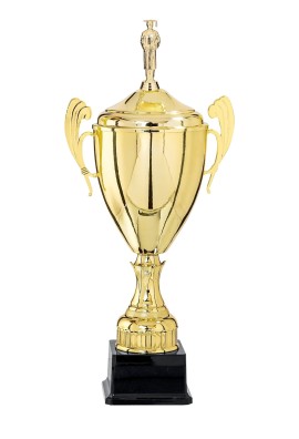 Coupe Personnalisée Métal : 5811W-D