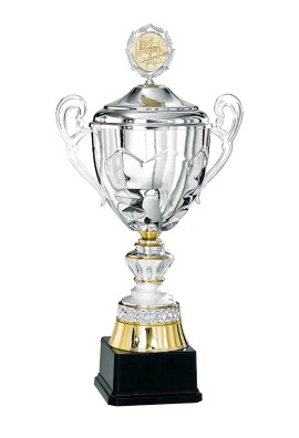 Coupe Personnalisée Métal : 6026W-C