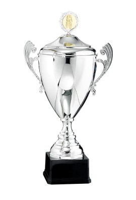 Coupe Personnalisée Métal : 6521W-C