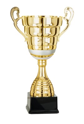 Coupe Prestige Métal : 6671