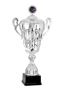 Coupe Personnalisée Métal : 6701W-C