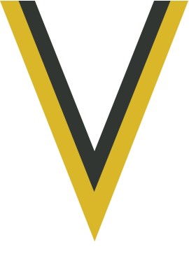 Ruban Médaille  Jaune/Noir : 6034