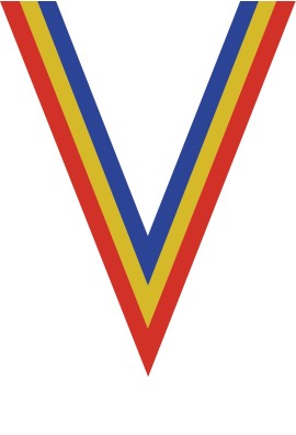 Ruban Médaille  Rouge/Jaune/Bleu : 6057