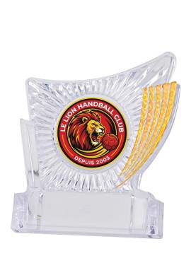 Trophée Personnalisé Votre Logo 133-51-LO
