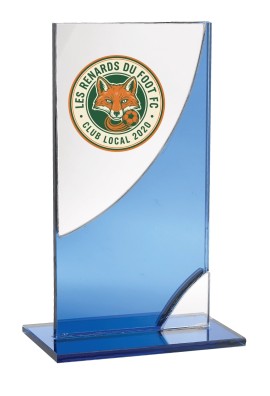 Trophée Personnalisé Votre Logo 136-35-LO