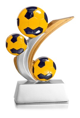 Trophée Handball 31906
