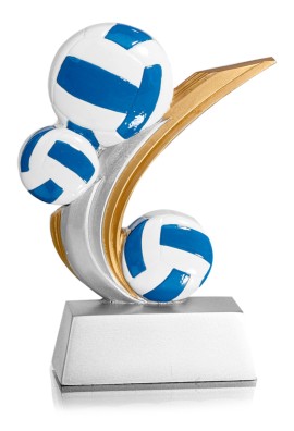 Trophée Volley-ball 31912