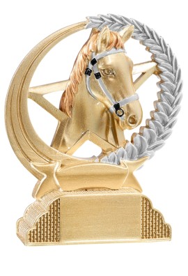 Trophée Équitation 31307