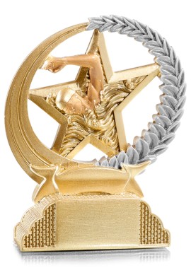 Trophée Natation 31324