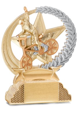 Trophée Cyclisme 31334