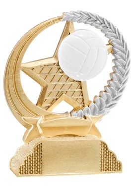Trophée Volley-ball 31335