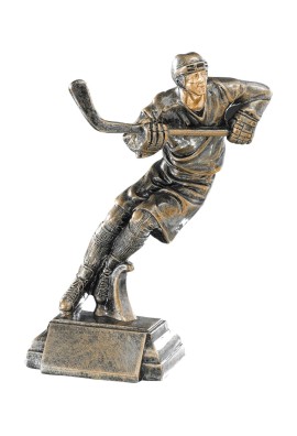 Trophée Hockey sur glace 52576