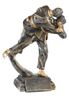 Trophée Judo 52529