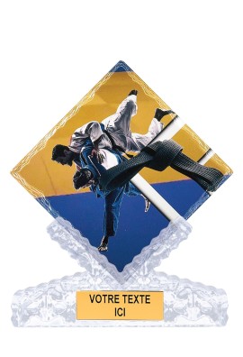 Trophée Judo 46114