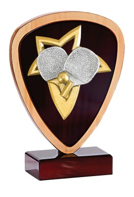 Trophée Bois Personnalisé 129-61-NJ