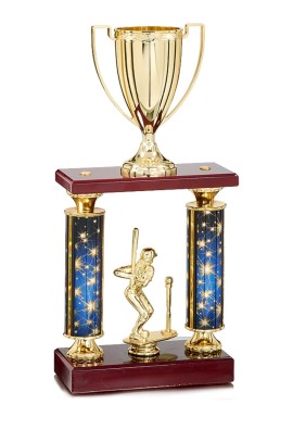 Trophée Personnalisé Figurine 145-81-D