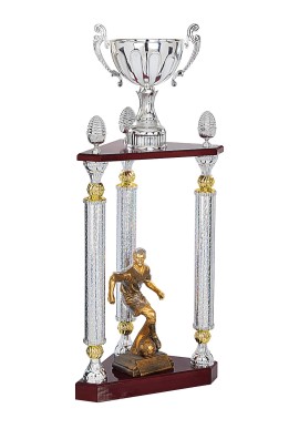 Trophée Personnalisé Figurine 147-61-RM