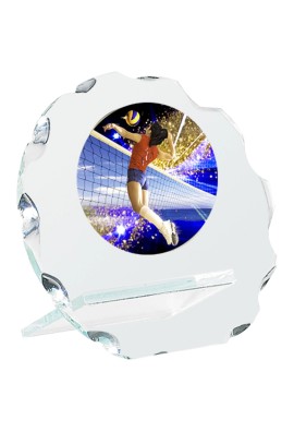 Trophée Personnalisé Médaillon 135-21-C