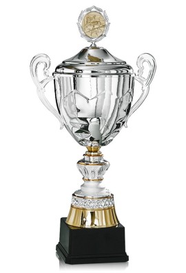 Coupe Personnalisée Métal : 6026W-C