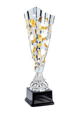 Coupe Laser Métal : 3761