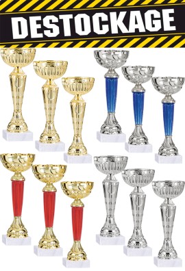 Lot de 12 Coupes : 2022-116