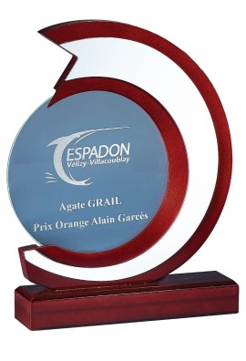 Trophée Verre & Bois Personnalisé 164-61-LO
