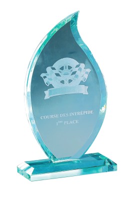 Trophée Verre Personnalisé 166-61-LO